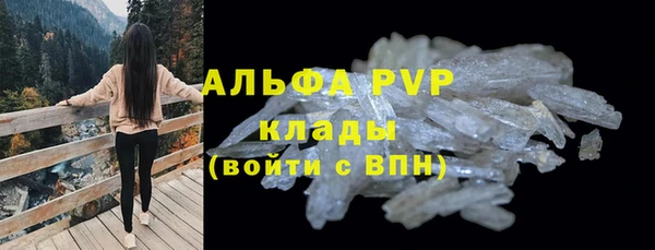 молекула духа Дмитровск
