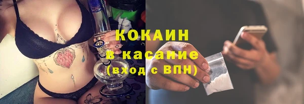 дживик Елабуга