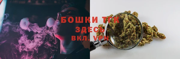 дживик Елабуга