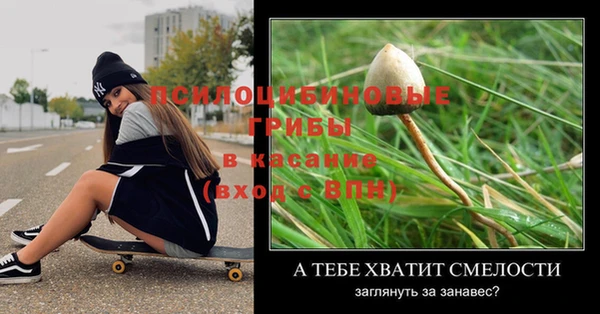 ПСИЛОЦИБИНОВЫЕ ГРИБЫ Дмитров